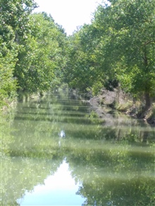 El Canal de Medina de Rioseco (Valladolid)